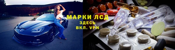 ПСИЛОЦИБИНОВЫЕ ГРИБЫ Аркадак
